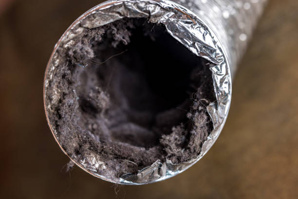 Best Air Duct Sanitizing Services  in Marietta, PA